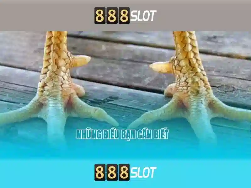 Khuyến mãi 888 slot 5