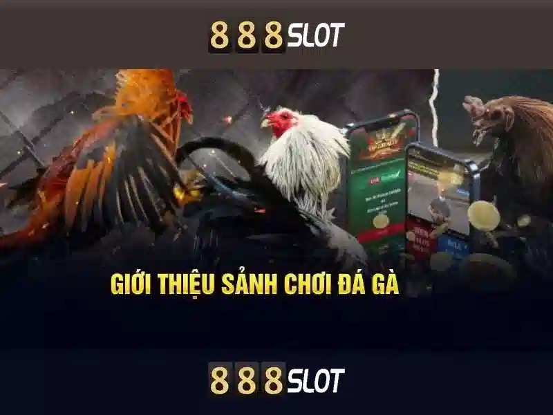 Lượng thành viên đang tăng dần