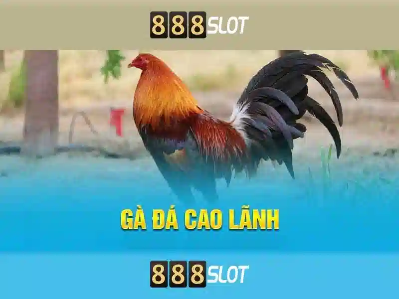 Trải Nghiệm Slot