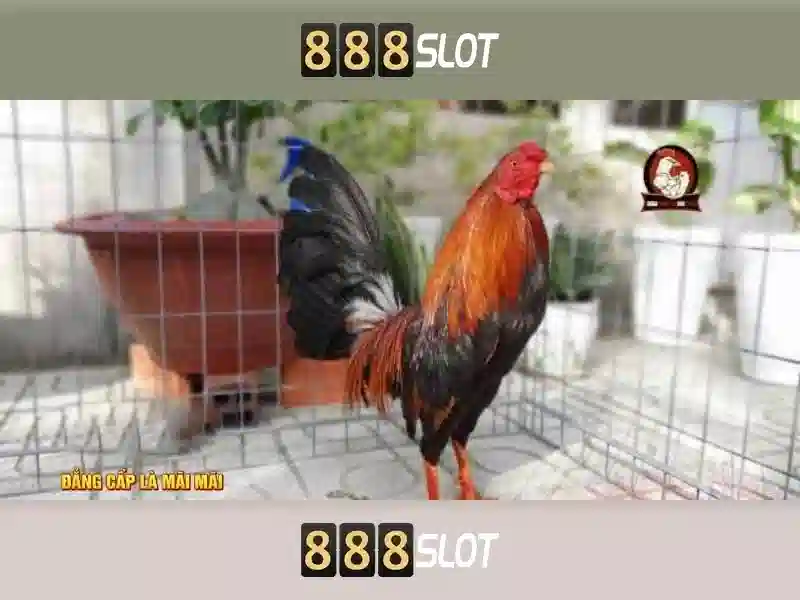 888SLOT - Trải Nghiệm Slot Đỉnh Cao Với 888slot cc 2026