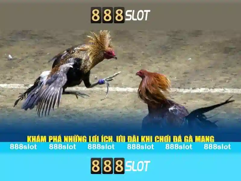 Trải nghiệm Slot 5