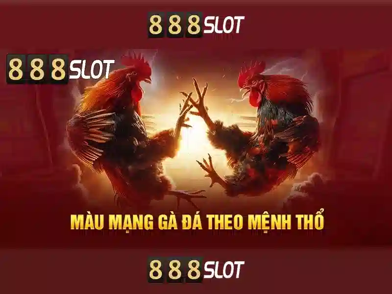 888SLOT – Trải Nghiệm Slot 5 Đỉnh Cao Cùng 888SLOT Chính Thức