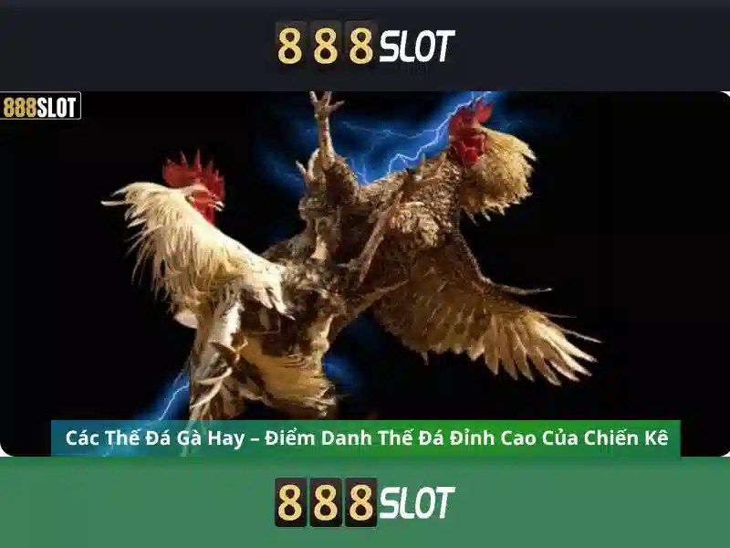 Chăm Sóc Khách Hàng