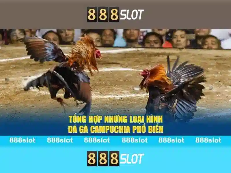 Tính Năng Đặc Biệt Của Slot 888SLOT