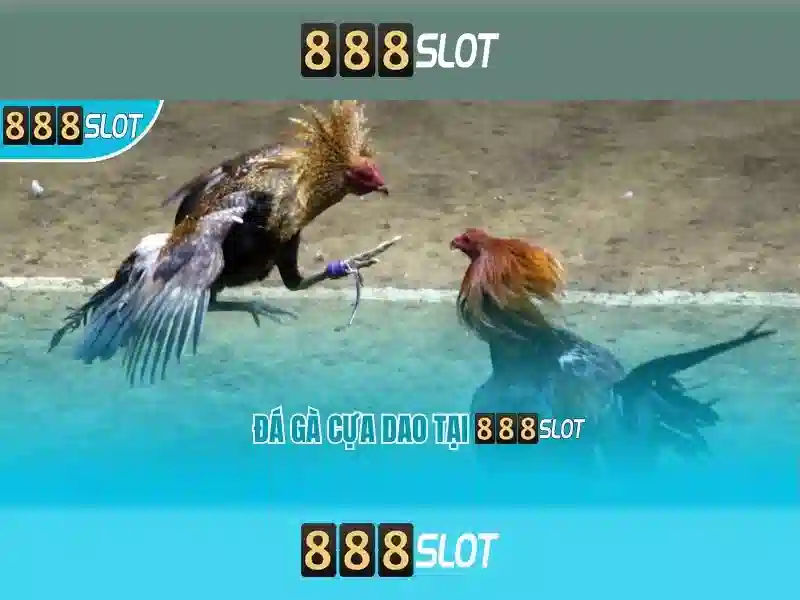 Ưu Đãi Slot