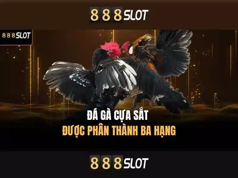 Trải nghiệm slot trực tiếp