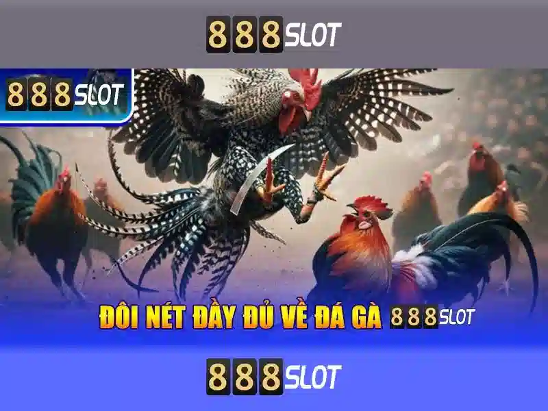 Đánh giá từ người chơi 888SLOT