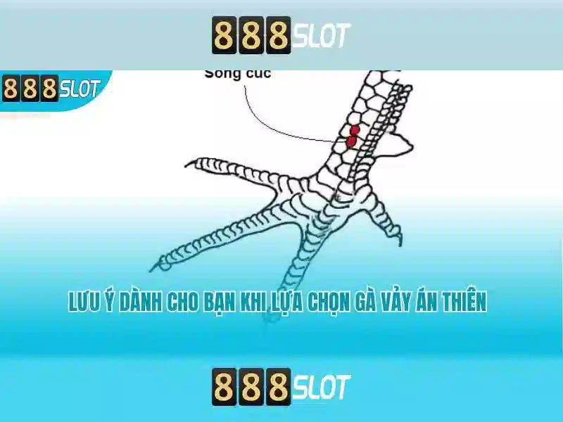Trải Nghiệm Cá Cược Đỉnh Cao