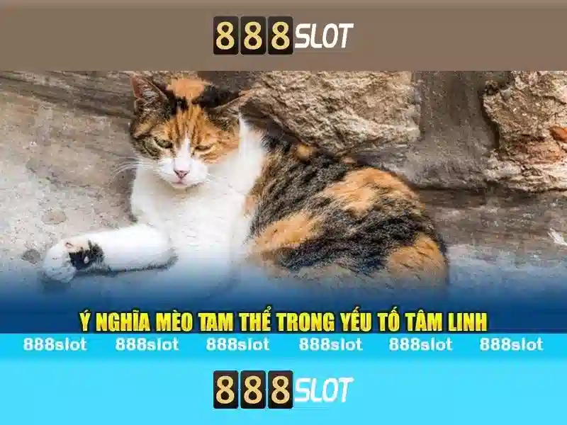 ứng dụng di động 888slot