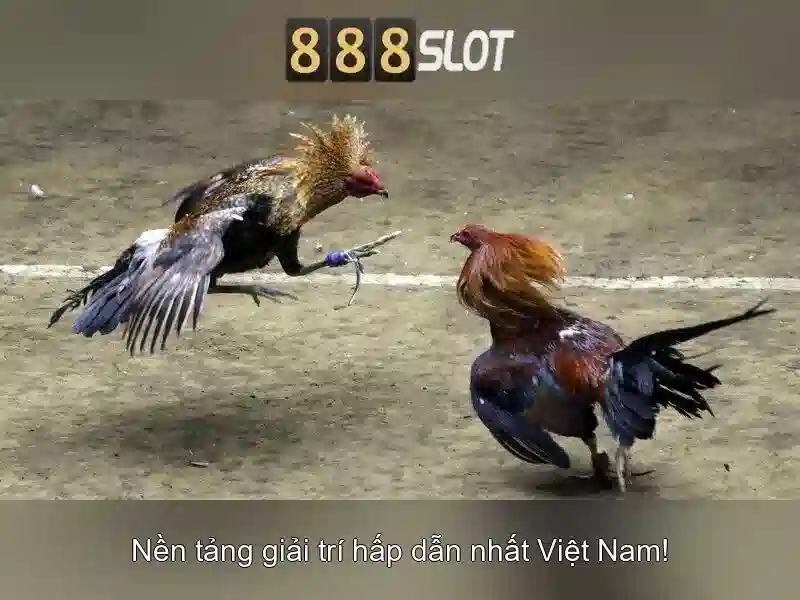888SLOT - Trải Nghiệm Slot 888 Đỉnh Cao 2026