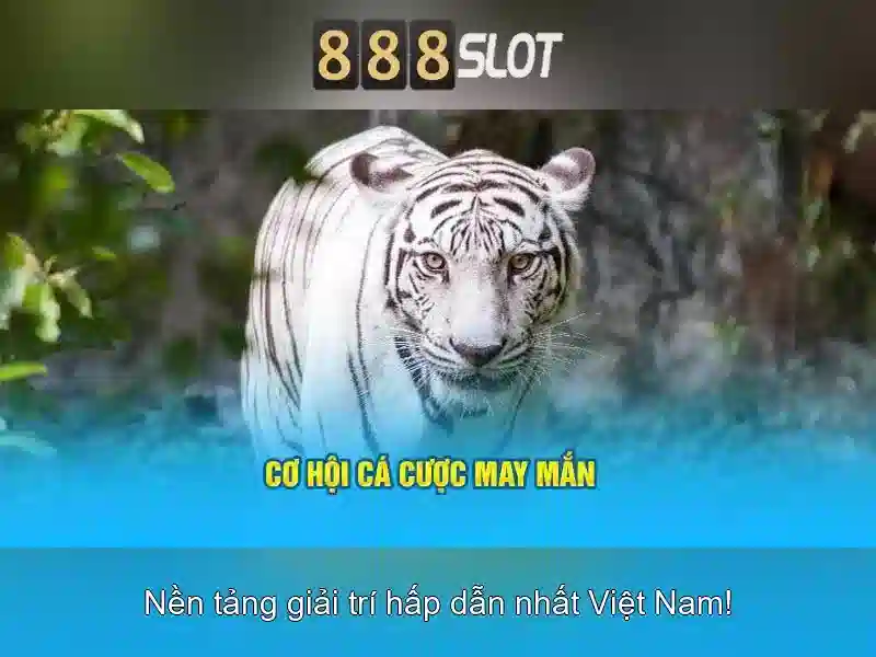 Hỗ trợ tận tâm 24/7
