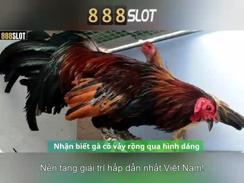 Trải Nghiệm Cá Cược Slot Tại 888SLOT