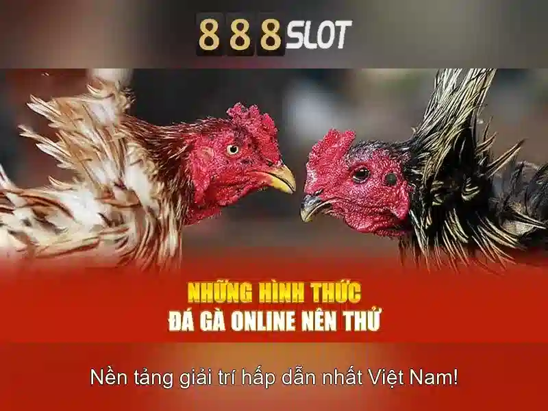 chương trình khuyến mãi