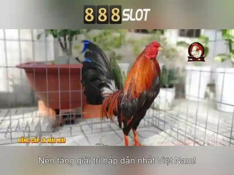 Trải Nghiệm Game Slot 888slot