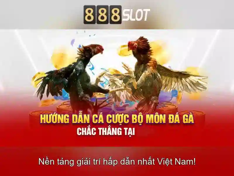 Khuyến Mãi