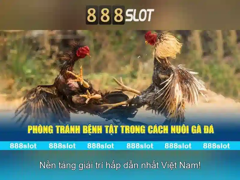 Ưu Đãi 888 Slot VIP