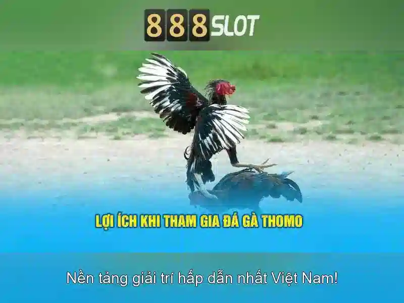 Khuyến Mãi Slot Hấp Dẫn