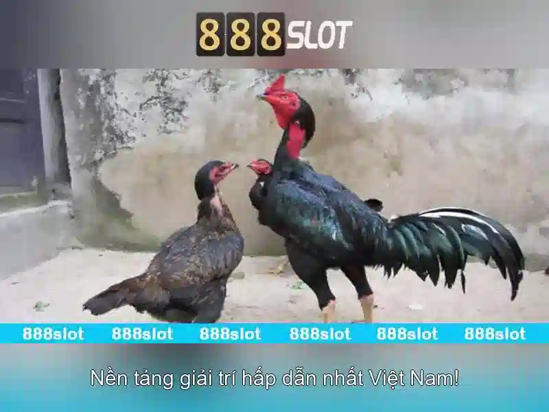 Chính Sách Thưởng 888SLOT