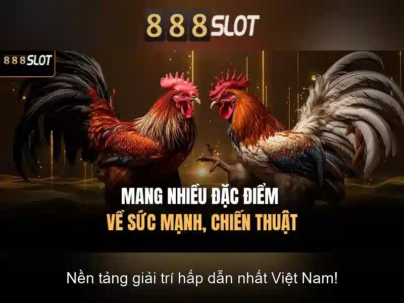 888slot Con – Trải Nghiệm Slot Đỉnh Cao