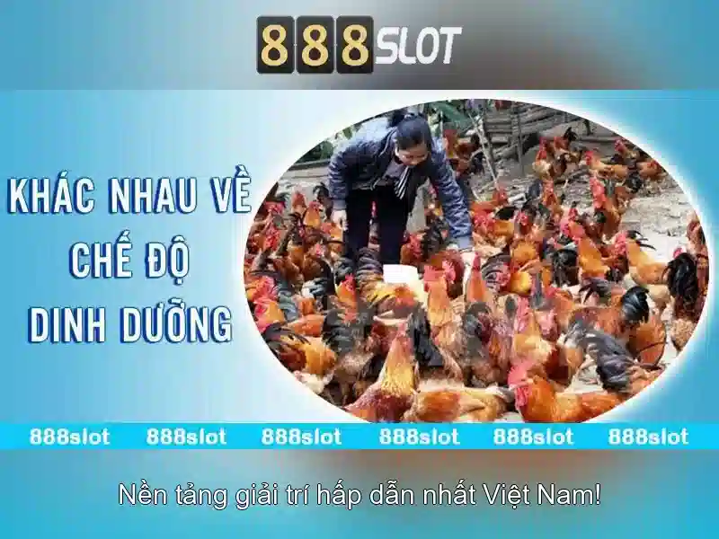 Tải 888slot